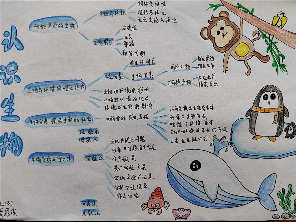 七3 吴恩淇.jpg