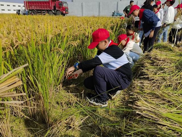 调整大小 IMG_20231017_140707.jpg