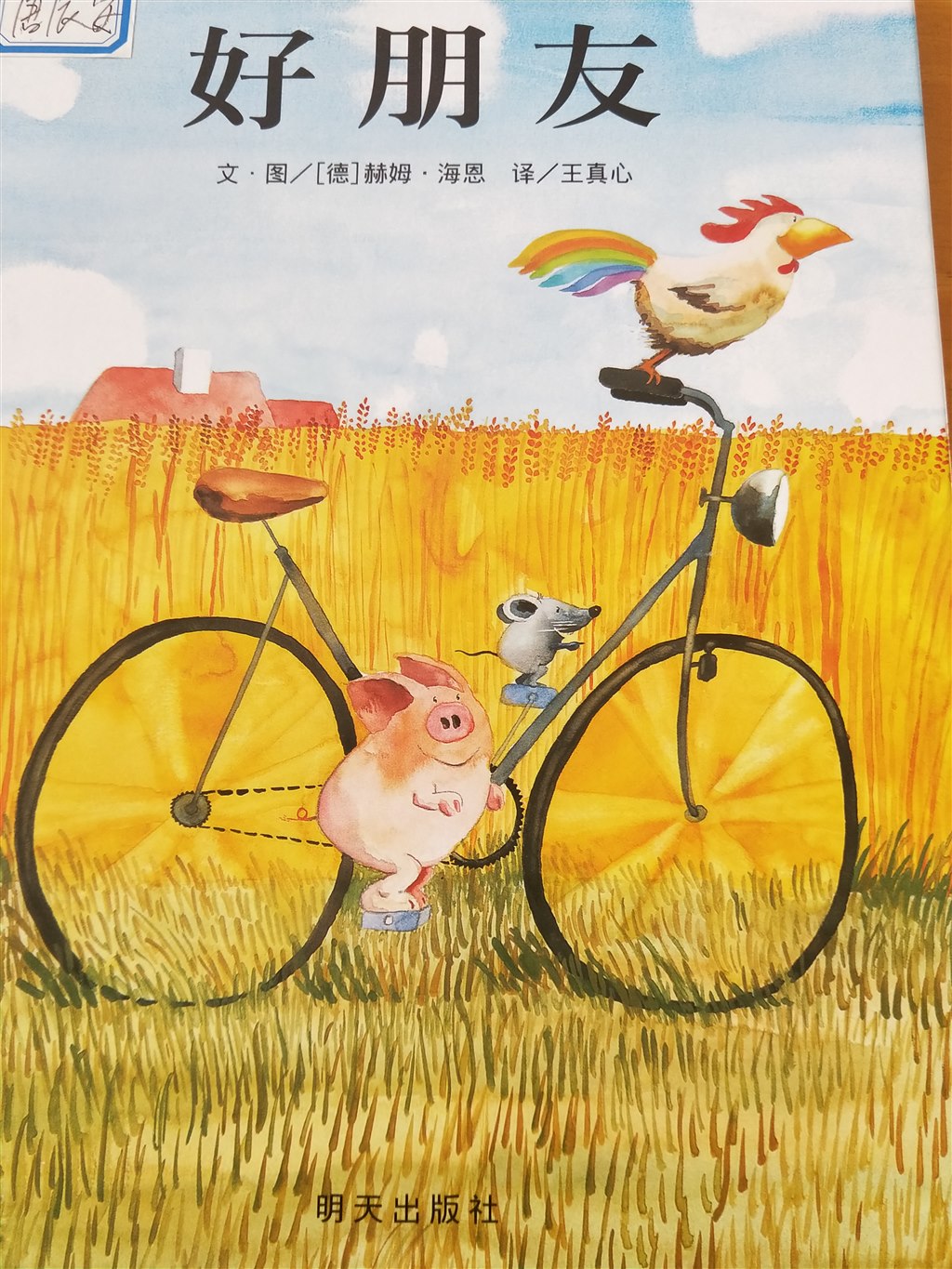 IMG20181024071928.jpg