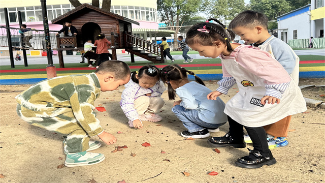 捡树叶.jpg 捡树叶.jpg