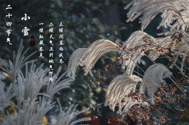 三候图片.jpg