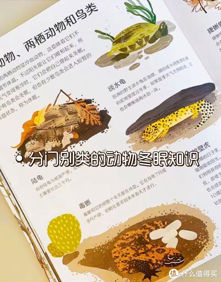 有哪些关于冬天和冬季运动相关的绘本推荐？