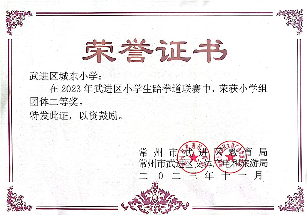 跆拳道团体二等奖.jpg