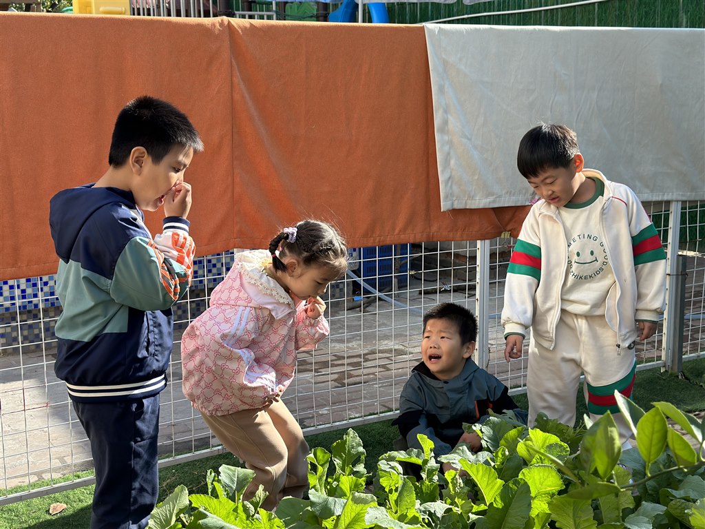 除草1.JPG