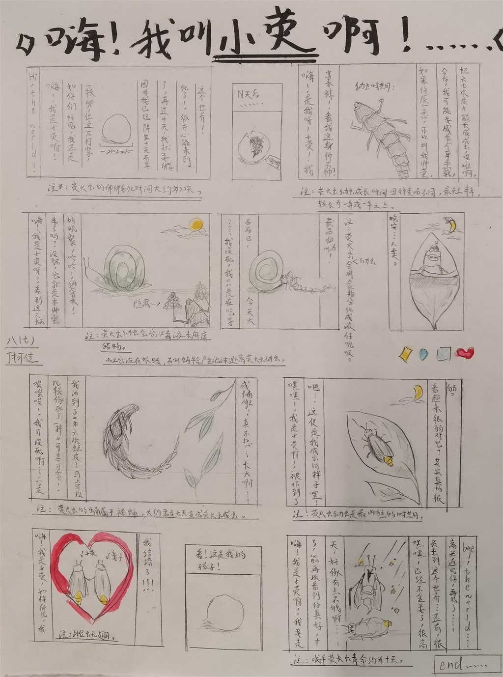 萤火虫_2345看图王.jpg