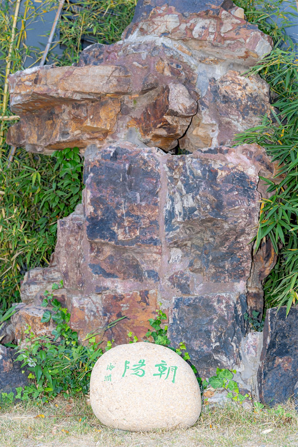 东坡美景--朝阳1.jpg