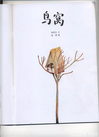 鸟窝.jpg