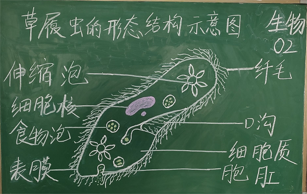 照片11.png