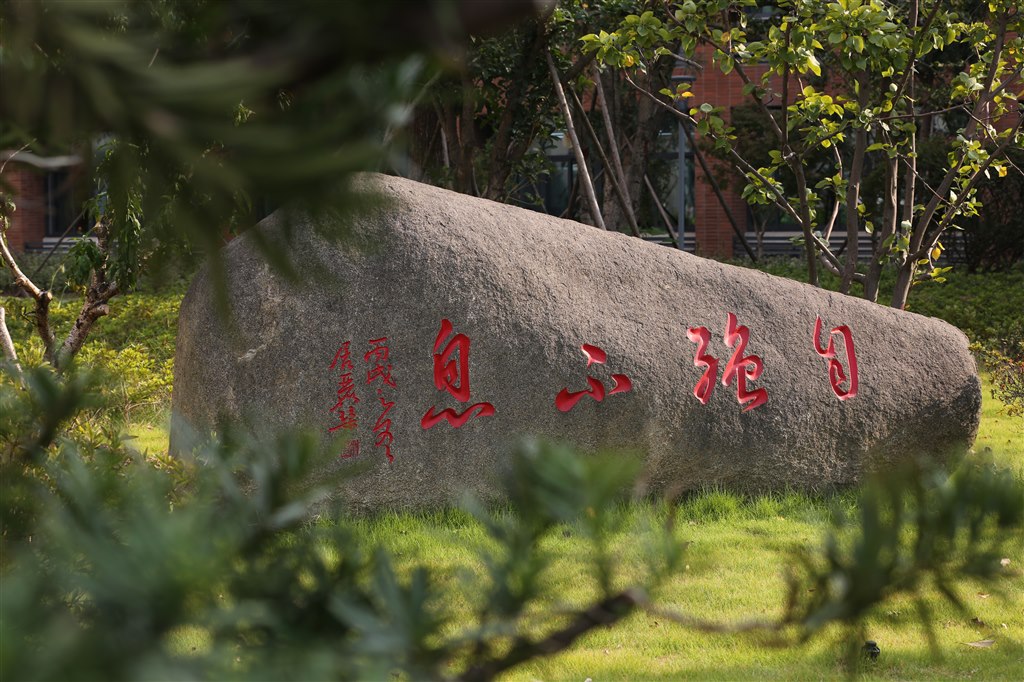 “自强不息”文化石（龙游路）.JPG