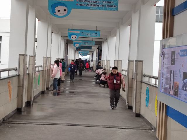 IMG_20240220_102552.jpg IMG_20240220_102552.jpg