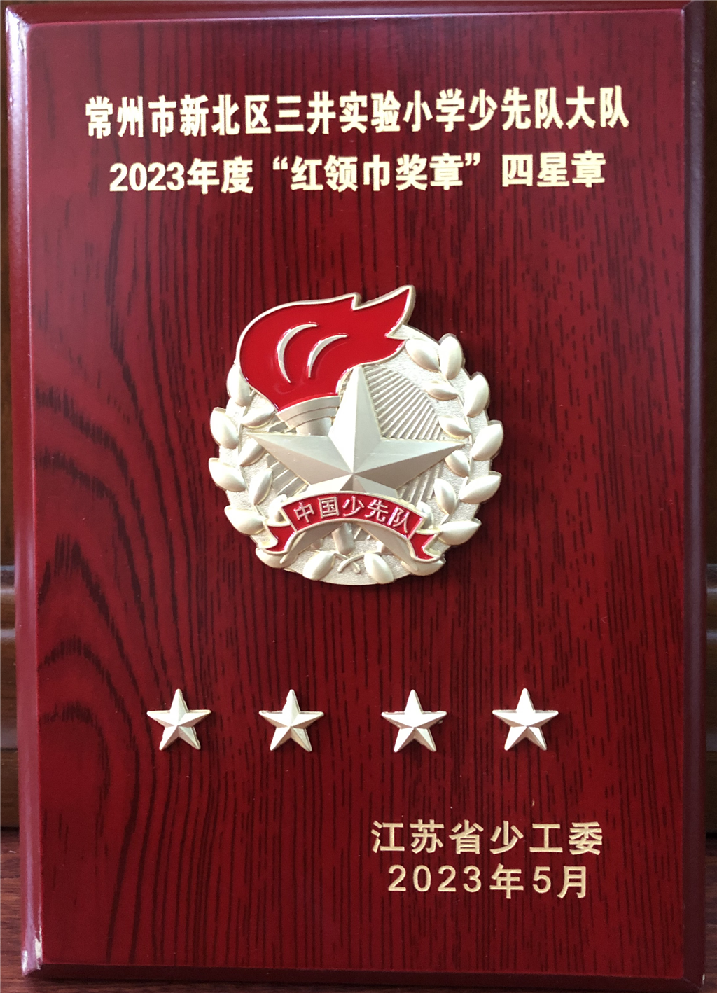2023.5 2023年度“红领巾奖章”四星章.png