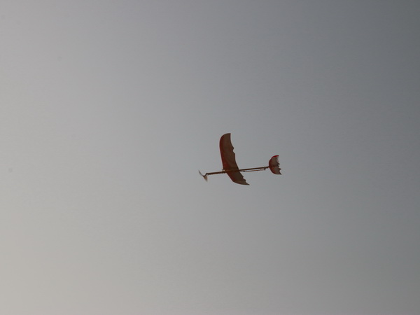 IMG_9426.jpg