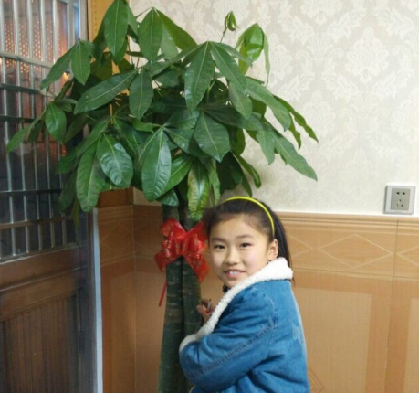 C:\Users\Administrator\Desktop\QQ截图20150410202436.jpg