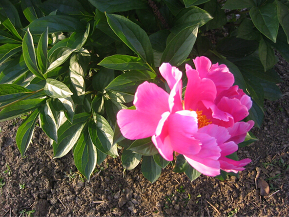 C:\Users\Administrator\Desktop\新建文件夹 (3)\QQ截图20150427224707.jpg