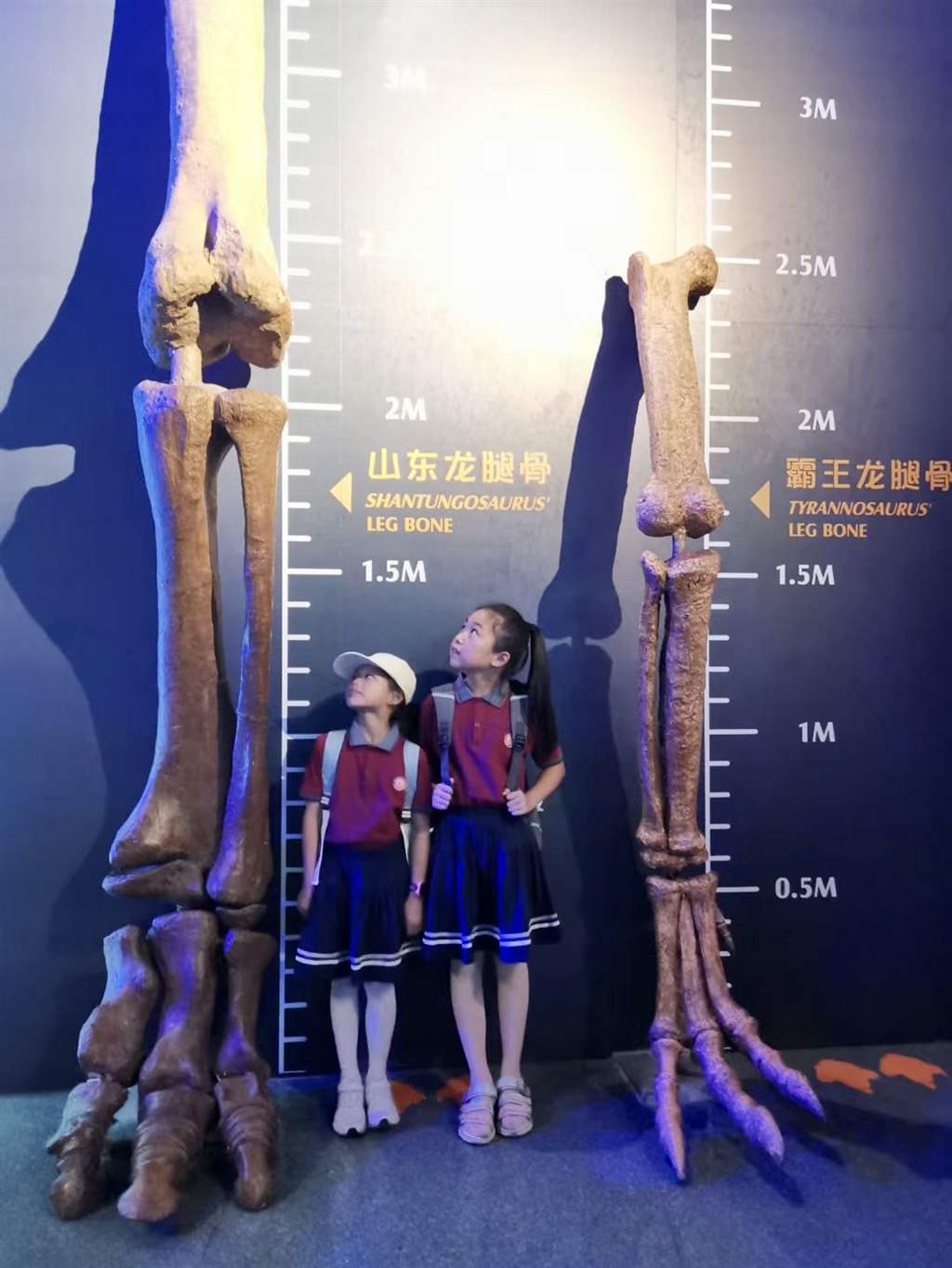 微信图片_202109271632422.jpg