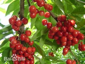 C:\Users\Administrator\Desktop\新建文件夹\b812c8fcc3cec3fd4e088596d488d43f8794271a.jpg