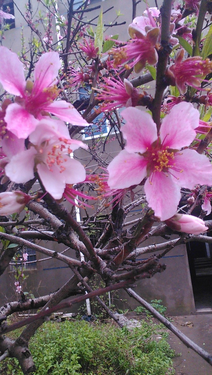 C:\Users\Administrator\Desktop\20150404学生照片\20150404六3陈梦楚 摄影作品_20150404114626_org.jpg