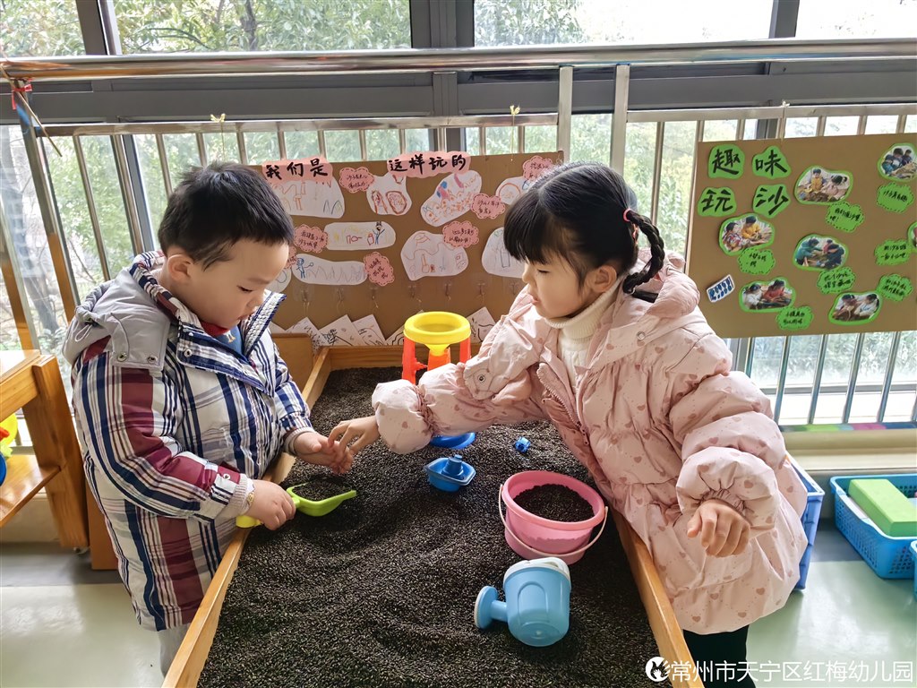 区域2.JPG