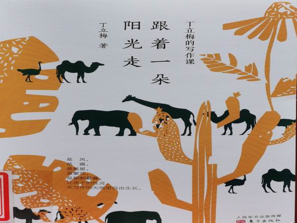 跟着一朵阳光走.jpg