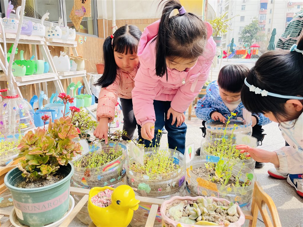 小苗.JPG