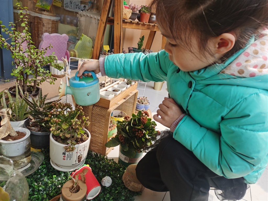 植树节 (2).jpg