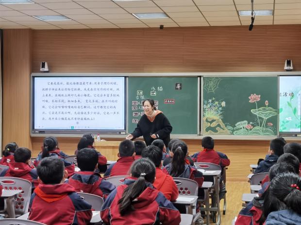图6620.jpg
