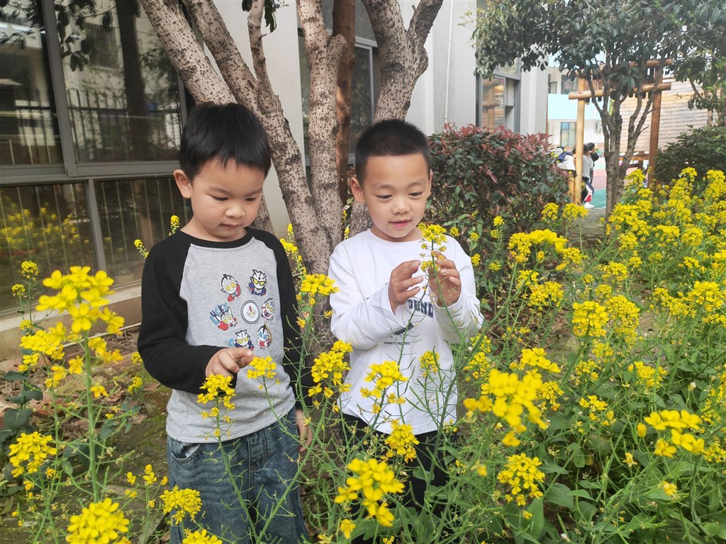 QQ图片20240403130256.jpg