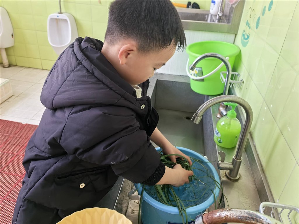 小蒜3.jpg
