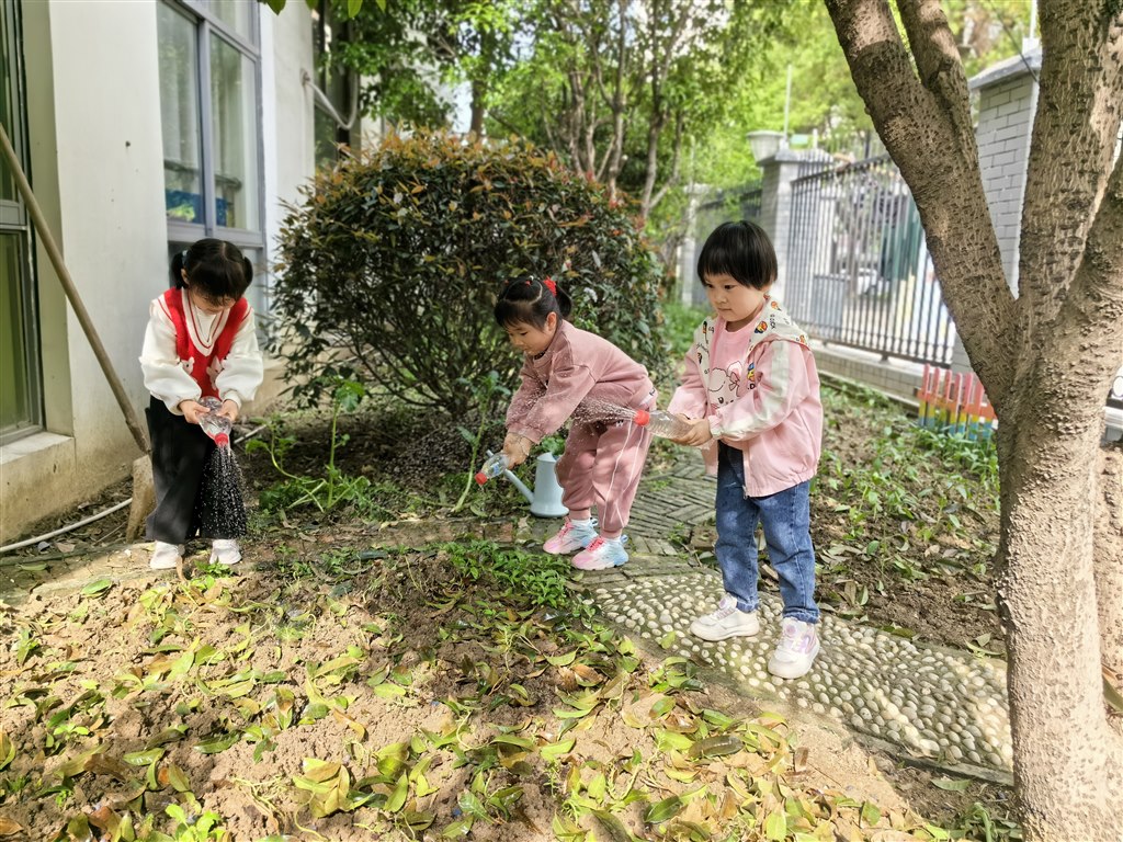 萝卜3.jpg