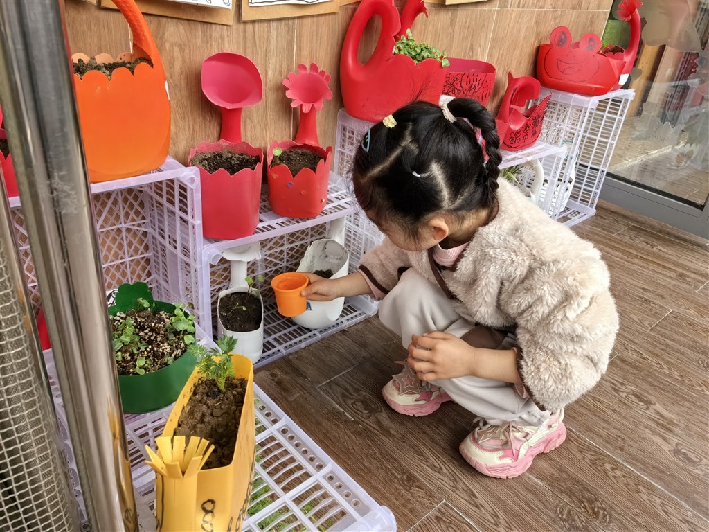 萝卜.jpg