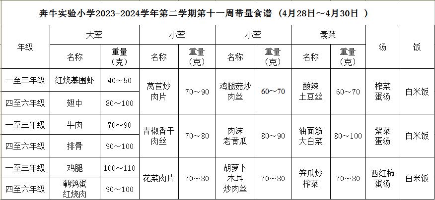 第十一周.JPG