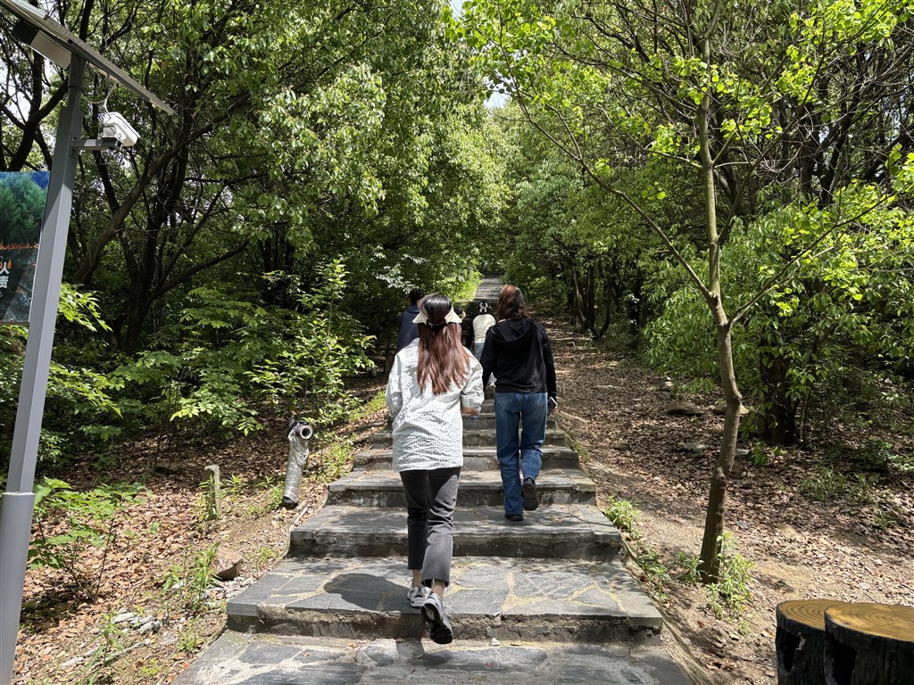 IMG_4850.JPG IMG_4850.JPG