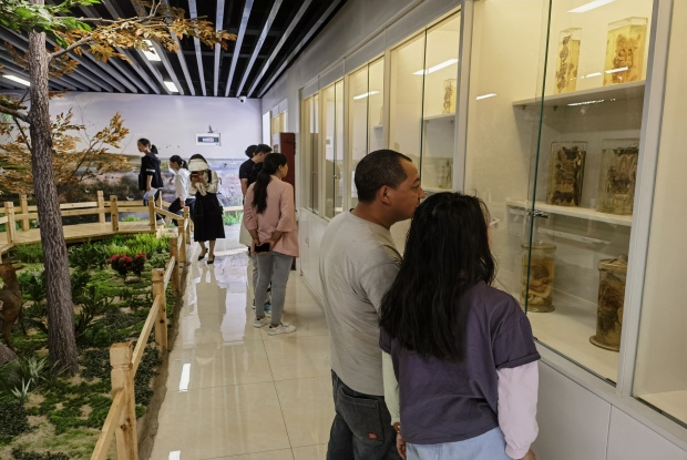 IMG_20240518_083129_副本.jpg