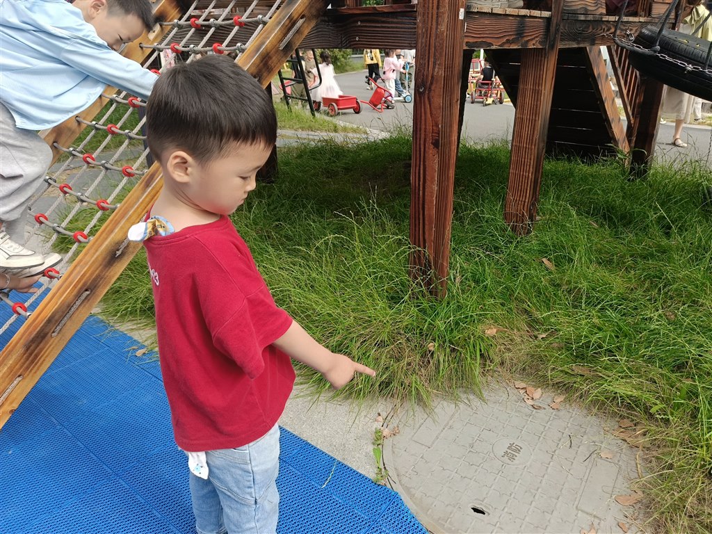 IMG20240521082426.jpg