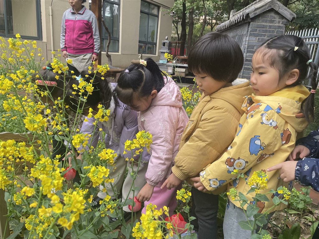 0C2E4CEE-5F03-4F45-A5A9-6CAA00C7B3F8_hd.jpg 0C2E4CEE-5F03-4F45-A5A9-6CAA00C7B3F8_hd.jpg