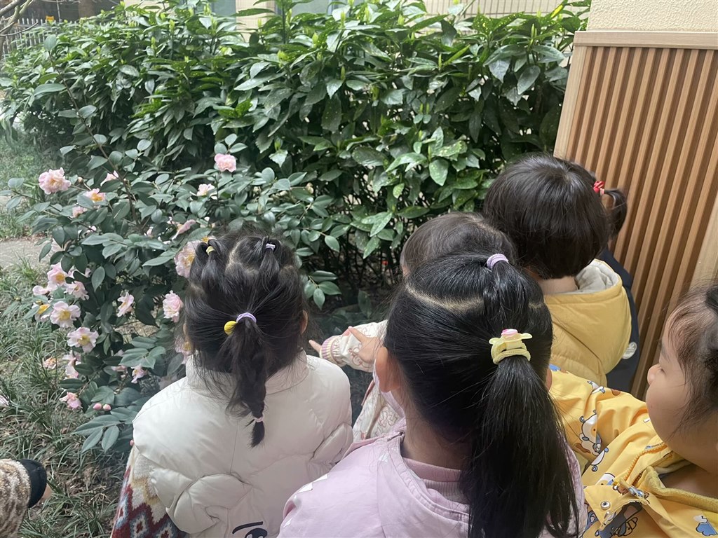 4940FA64-A76F-4B39-8329-F67912037FCD_hd.jpg 4940FA64-A76F-4B39-8329-F67912037FCD_hd.jpg