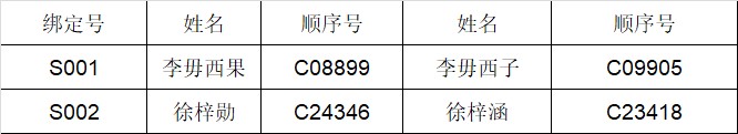 双胞胎.jpg