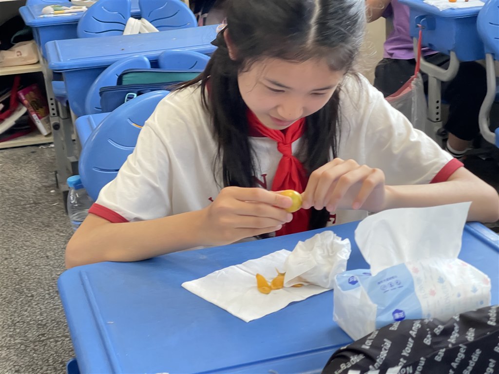 Image_1717550565586.jpg