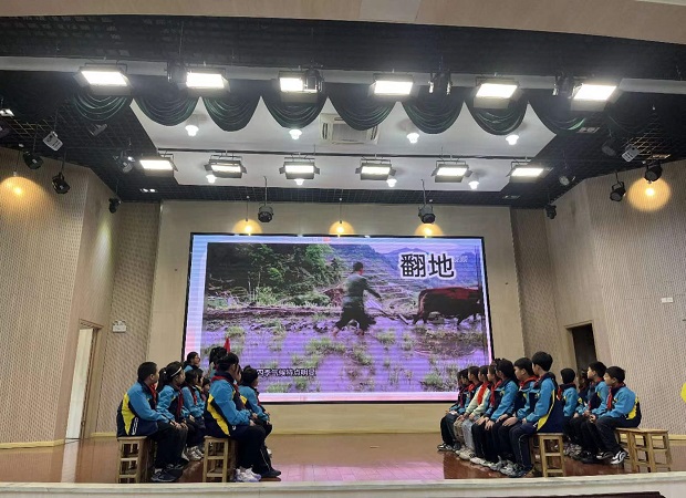 大米成长.jpg 大米成长.jpg