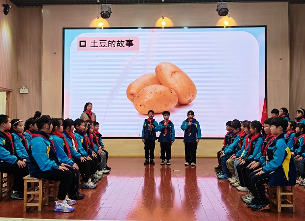 土豆.jpg 土豆.jpg