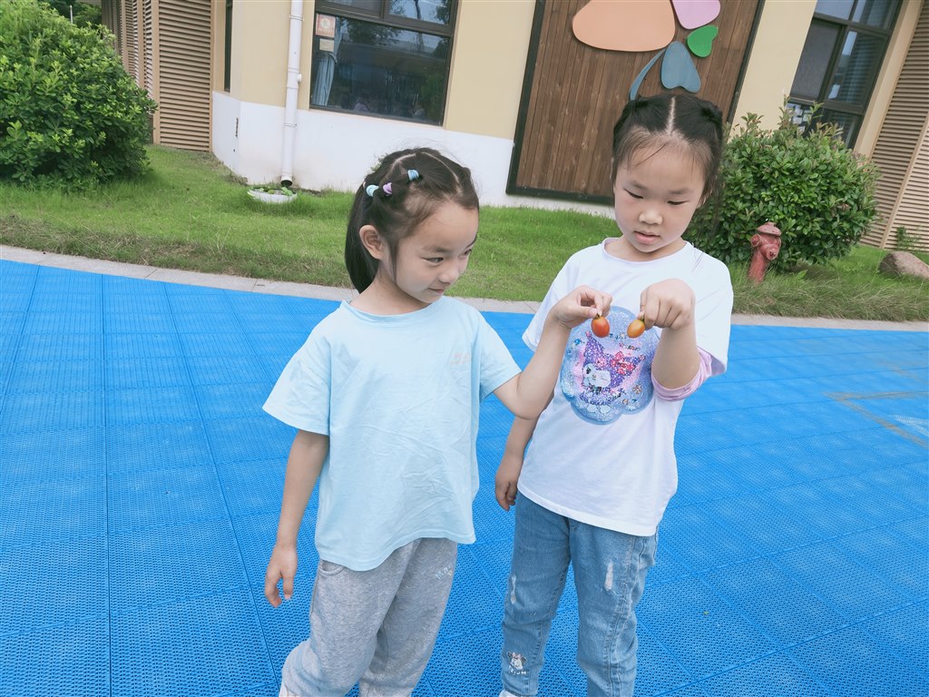 IMG20240624094712.jpg