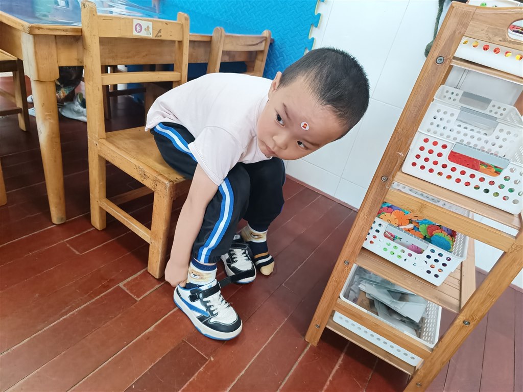 IMG20240624100104.jpg