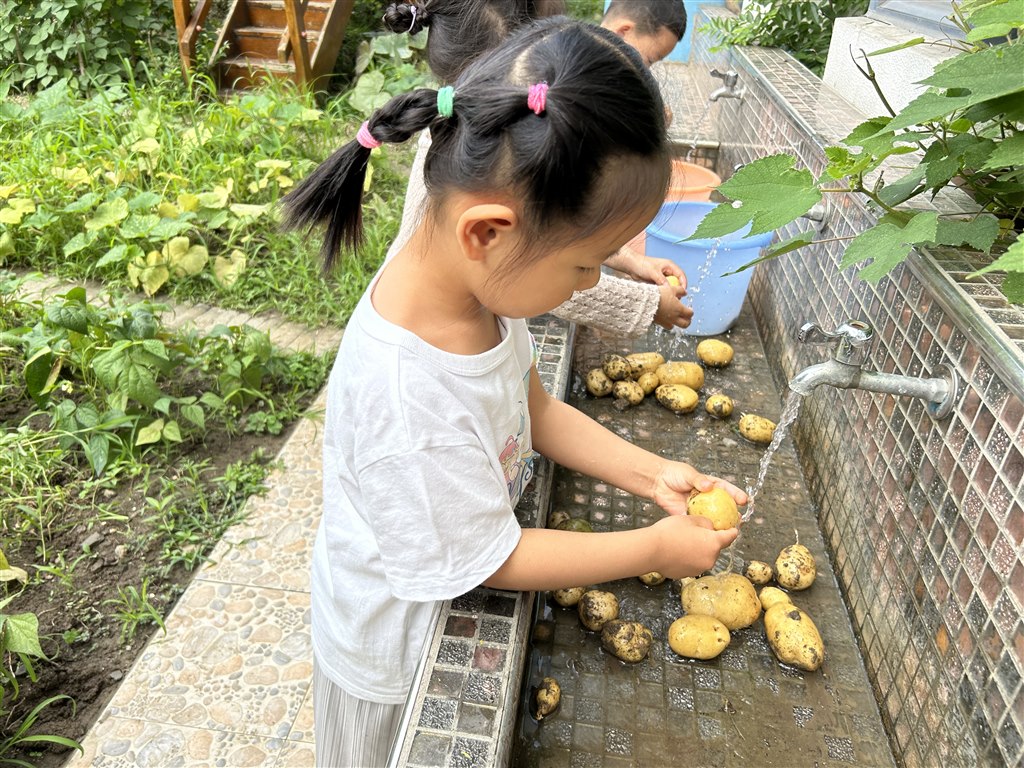 QQ图片20240626115840.jpg