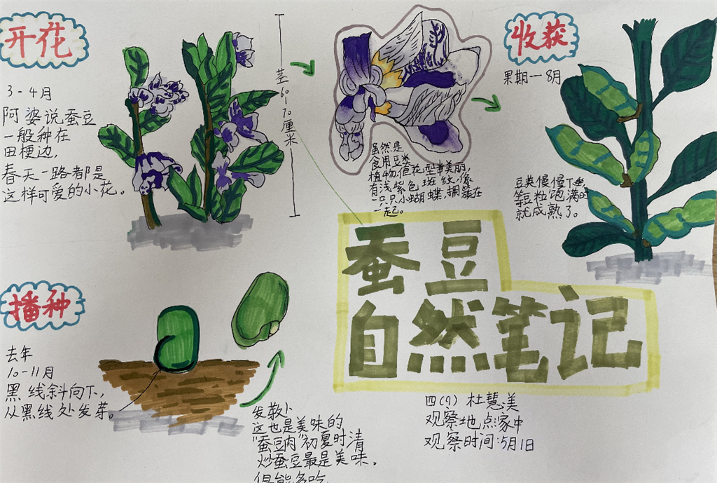 微信图片_20240707165337.png