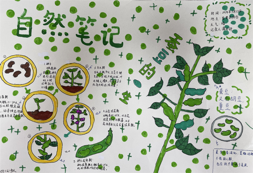 微信图片_20240707165336.png