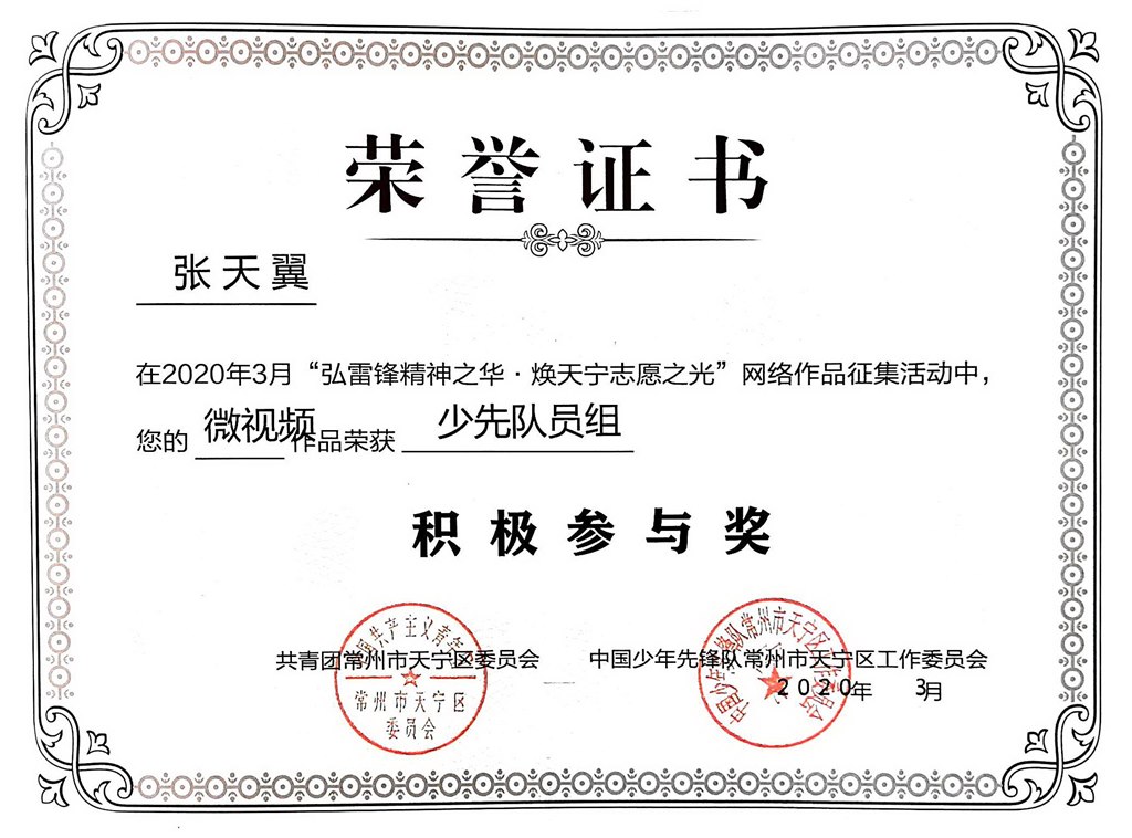 2020，03张天翼同学在2020年3月“弘雷锋精神之华·焕天宁志愿之光”网络作品征集活动中，你的微视频作品荣获少先队员组积极参与奖.jpg