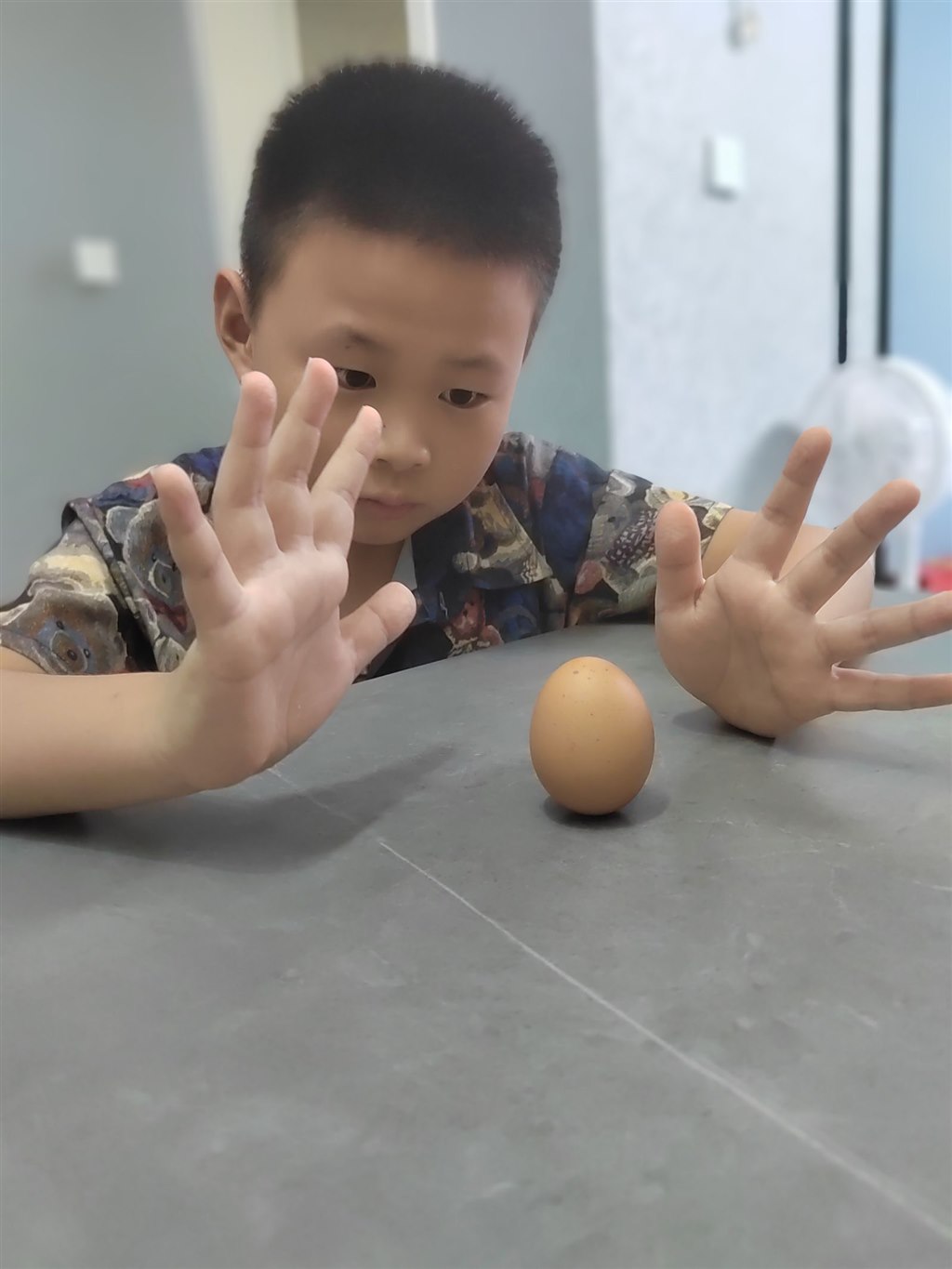 竖蛋1.jpg