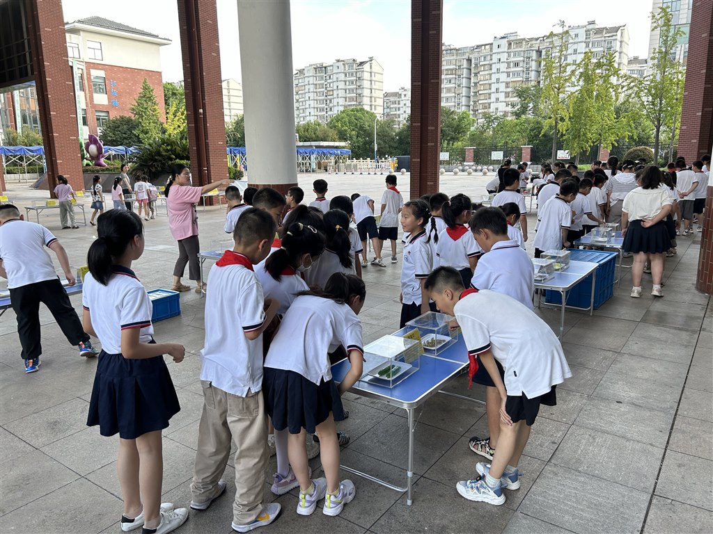 图11.JPG