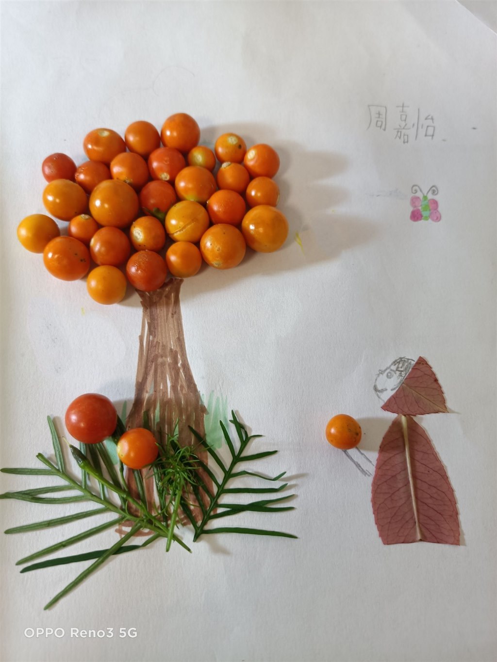 QQ图片20241009074445.jpg