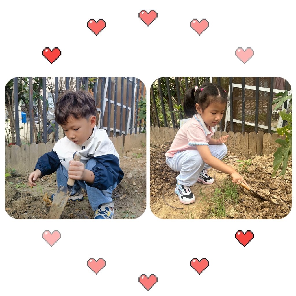 MEITU_20241011_144426084.jpg